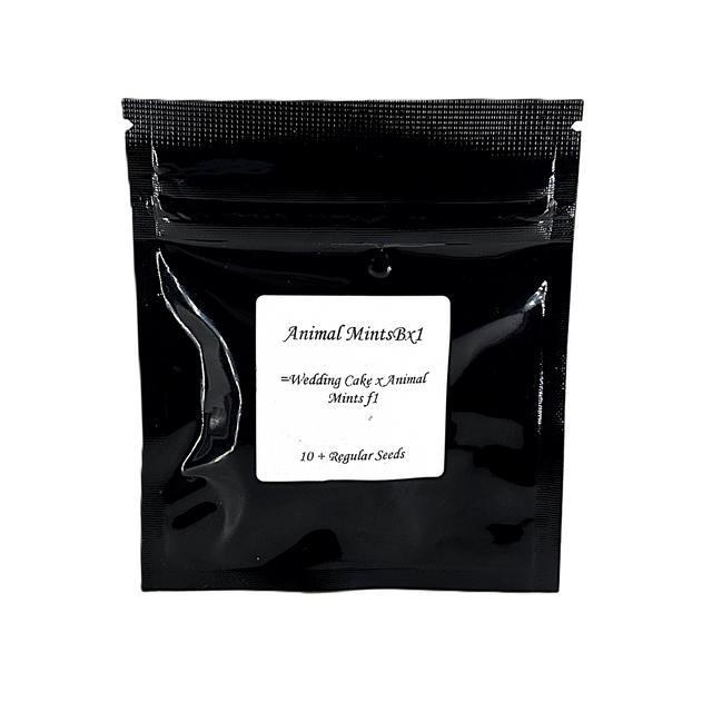 Seed Junky Genetics - Seeds