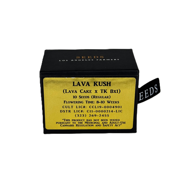 Jungle Boys - Seeds - THC regular