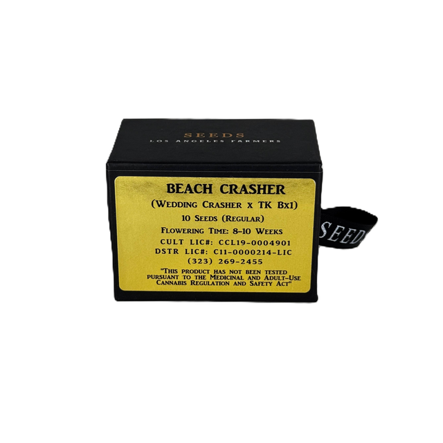 Jungle Boys - Seeds - THC regular