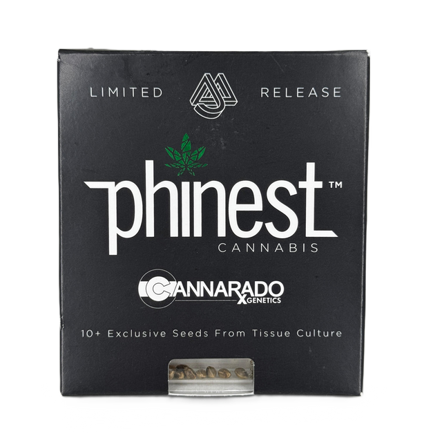 phinest CANNABIS - Seeds