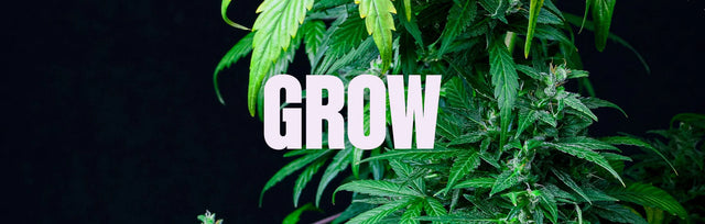 Grow Kits