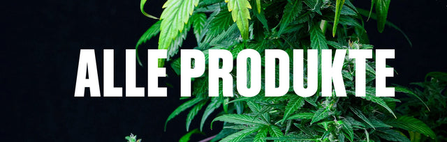 Alle Produkte