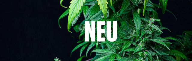 Neu